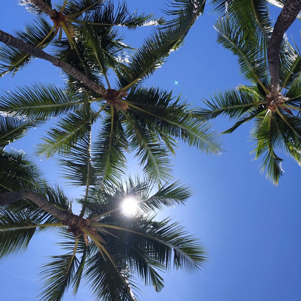 Proceeds for fundraising (Not for sale)